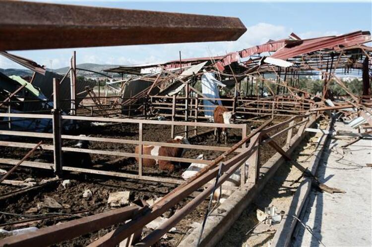 Çeşme'de hortumda çatısı yıkılan evdeki ailesinin ve demir yığınları altında kalan hayvanların yardımına koştu 8 cesmede hortumda catisi yikilan evdeki ailesinin ve demir yiginlari altinda kalan hayvanlarin yardimina kostu 7