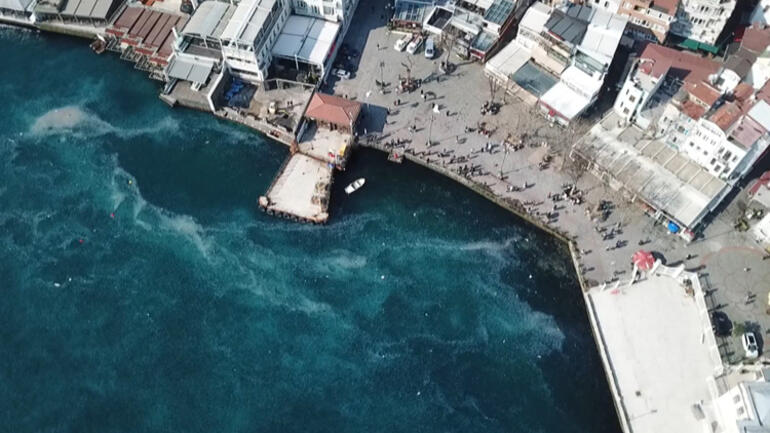 Şoke eden görüntü İstanbul Boğazı’nda denizanası istilası…