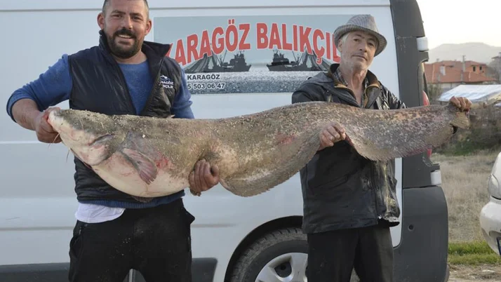 Burdur’da yakalandı büyüklüğünü gören şaştı kaldı: Çok zorlandık
