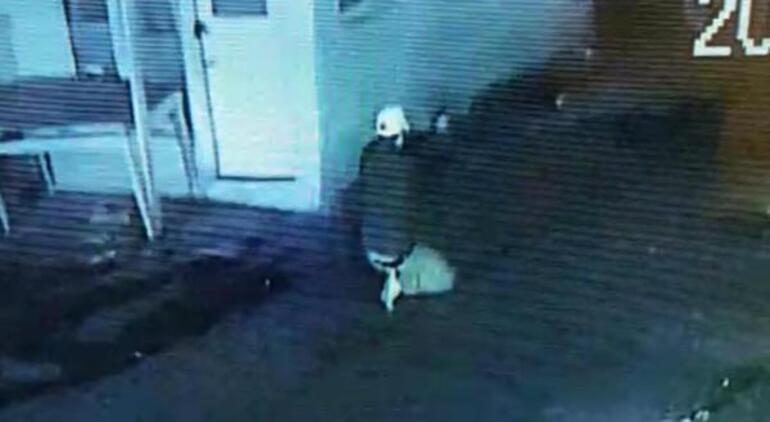 Polis aracına kurşun yağdırdı, ifadesi 'pes' dedirtti! O anlar kamerada 1 Polis aracına kurşun yağdırdı, ifadesi pes dedirtti O anlar kamerada