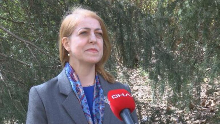 Prof. Dr. Sevinç Asilhandan İstanbul için korkutan sözler: Bütün özellikleri değişecek