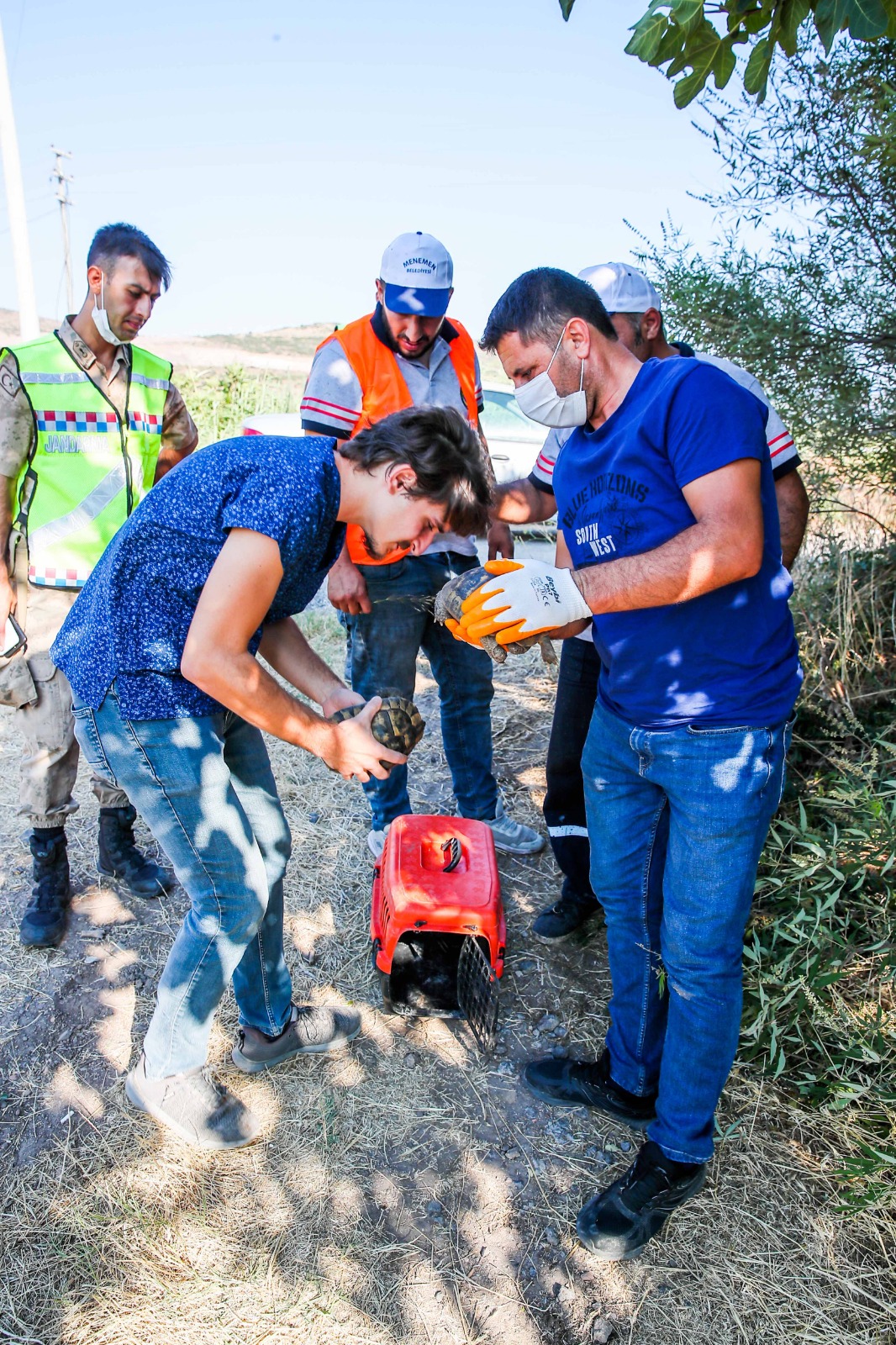 YANGINDAN KURTARILAN KAPLUMBAĞALAR EMİN ELLERDE 2 kaplumbaga 6