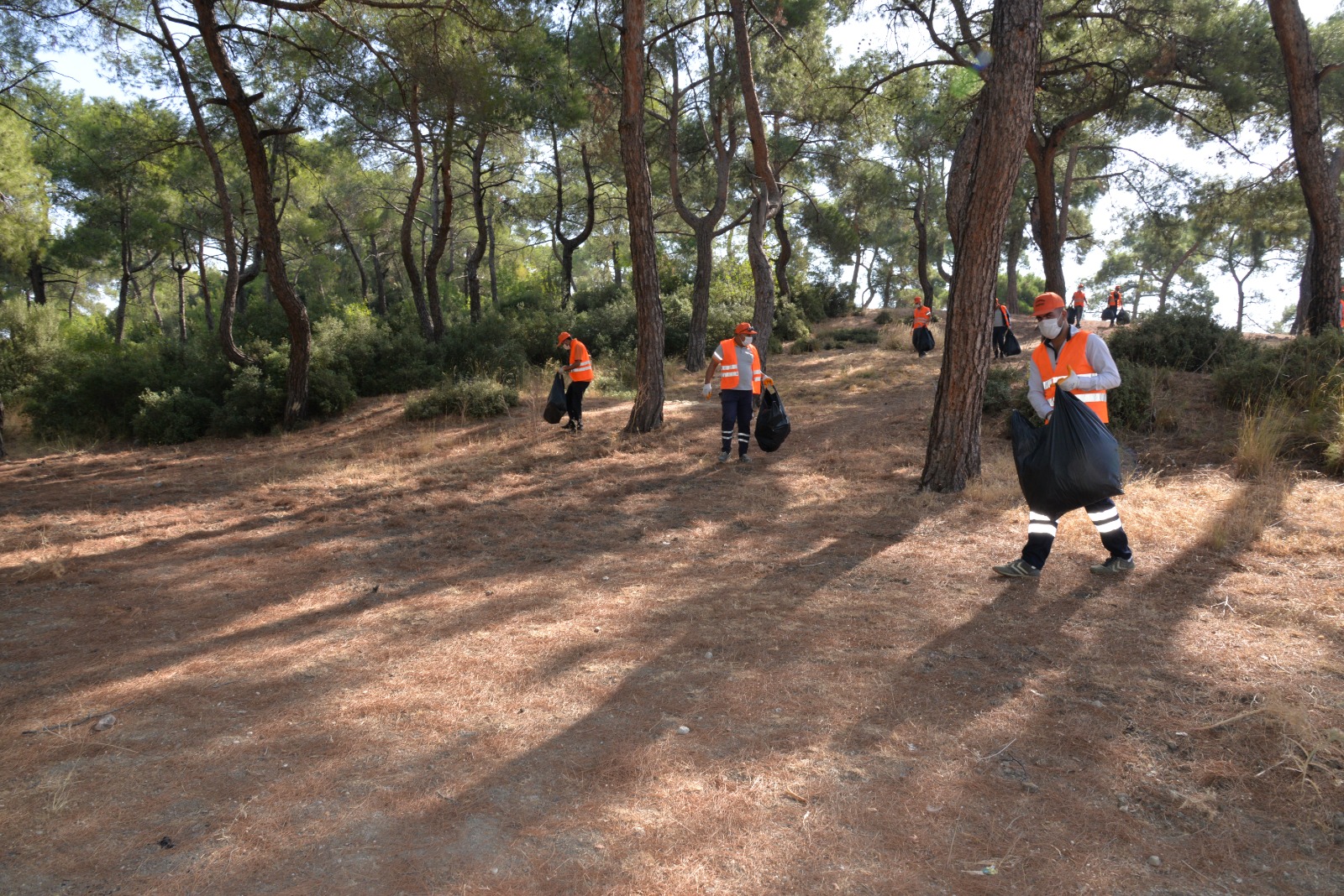 temizlik foto