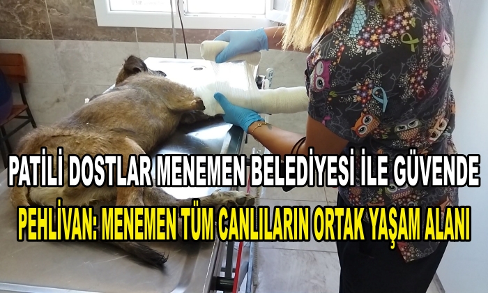 PATİLİ DOSTLAR MENEMEN BELEDİYESİ İLE GÜVENDE “PEHLİVAN: MENEMEN TÜM CANLILARIN ORTAK YAŞAM ALANI”