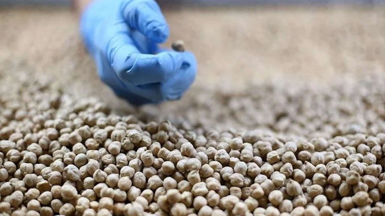 Güneydoğu’nun 3 aylık hububat, bakliyat, yağlı tohum ihracatı 836,5 milyon dolara ulaştı
