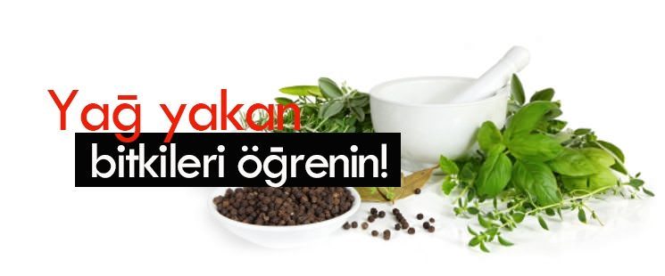 Izgara etin yanına pratik sos tarifleri 3 izgara etin yanina pratik sos tarifleri 2