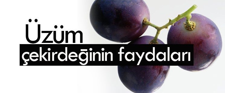 keten tohumunun sagliga 7 onemli faydasi 1