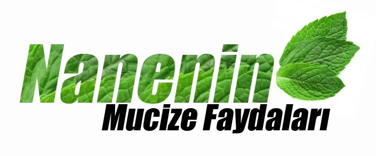 Sağlık için faydalı 10 süper baharat 3 saglik icin faydali 10 super baharat 2